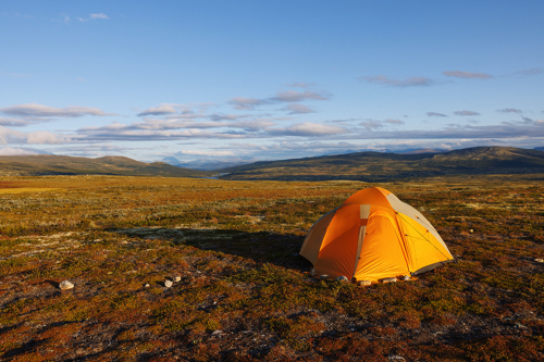 Dovrefjell-Nationalpark Dovrefjell-Nationalpark