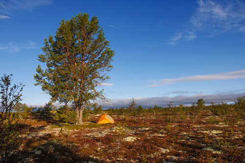 Auf dem Weg nach Fiskevollen, dem ältesten Fischercamp Norwegens an Binnengewässern. Auf dem Weg nach Fiskevollen, dem ältesten Fischercamp Norwegens an Binnengewässern.
